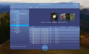 stellar data recovery preview found files