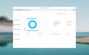 stellar data recovery disk partition