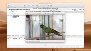 r-studio mac r-viewer