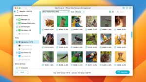 fonelab iphone data recovery preview found data